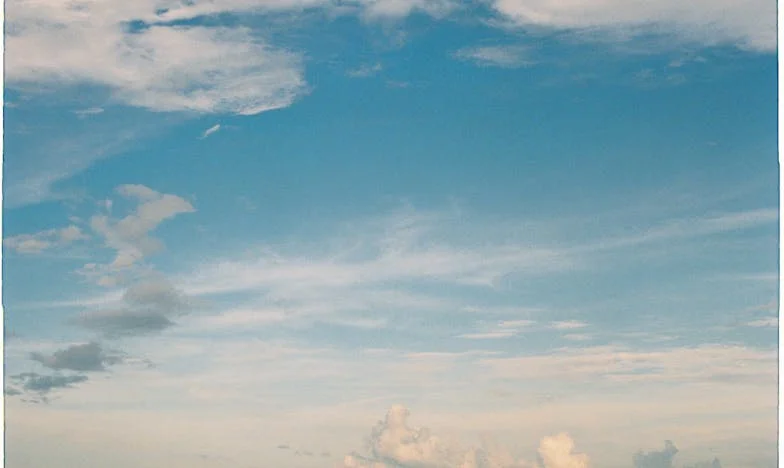 Zerbrochene Bande: Die Nacht, die meine Familie zerstörte