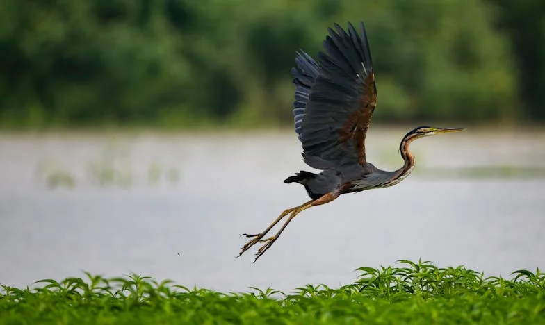 Zwischen Schuld und Sehnsucht: Mein Sohn, seine Frau und die Schatten der Vergangenheit
