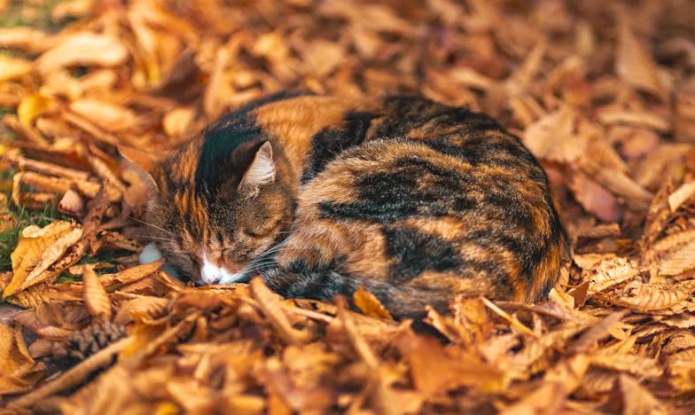 Zwölf Jahre für unser Traumhaus – und jetzt will unsere Tochter es für sich und ihren Verlobten