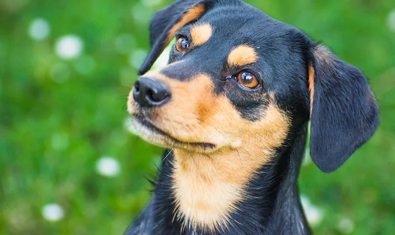 Als meine Geduld zerbrach: Die Nacht auf der Treppe