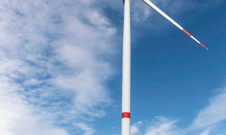 Fremder am Küchentisch: Wie ich zwischen Rosen und Dornen meine Familie neu fand