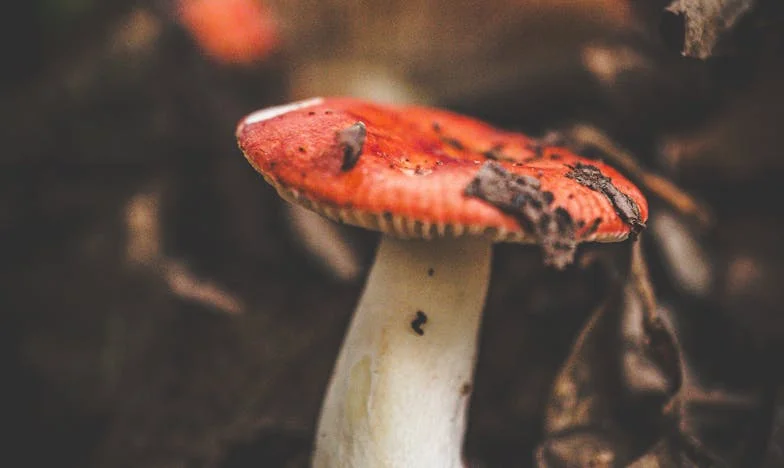 Zwischen Pflicht und Freiheit: Mein Leben als Tochter, Mutter und Ehefrau in München