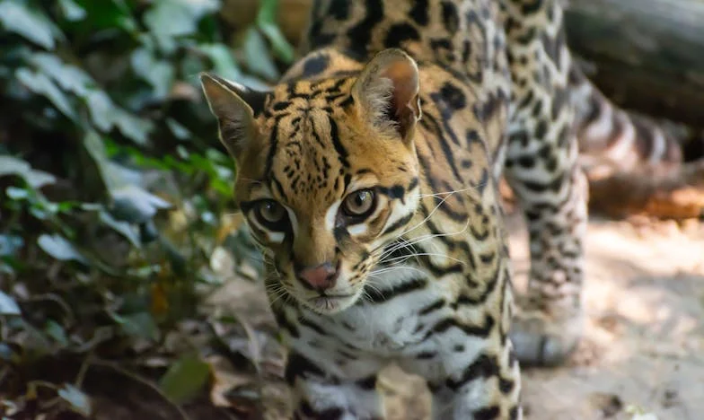 Zwischen Tränen und Hoffnung: Das Leben einer alleinerziehenden Mutter in Berlin-Neukölln