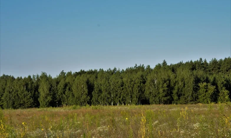 Po 25 latach małżeństwa zobaczyłam, kto zajął moje miejsce – i nie byłam na to gotowa. Ta kobieta była mi bliższa, niż mogłam przypuszczać…