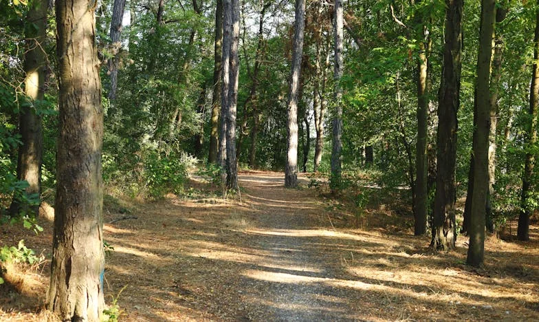 Skok w nieznane: Opowieść o odwadze na moście nad Wisłą – jak jeden moment zmienił moje życie i rodzinę