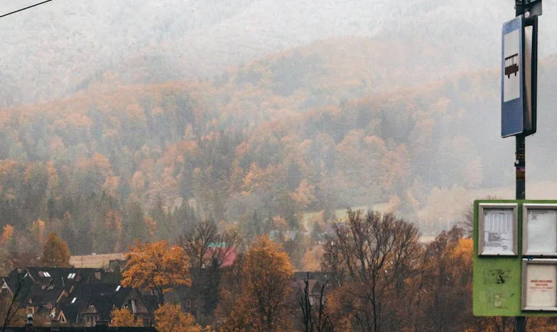 Cudza przeszłość, moja rana: Jak przypadkowe spotkanie otworzyło stare blizny mojej rodziny