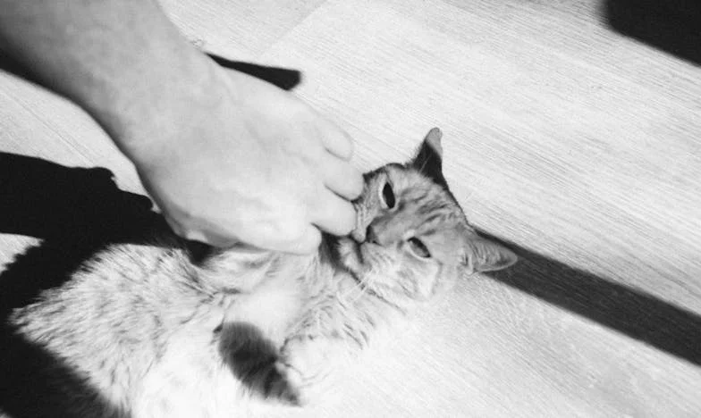 „Mamo, dlaczego weszłaś do naszego mieszkania?” – historia o zaufaniu, rodzinie i zdradzie, która rozdarła moje życie