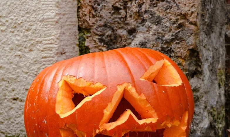 Brat żąda pieniędzy na ślub – rodzinna wojna o dom rodziców. Czy można uratować rodzinę, gdy pieniądze stają się ważniejsze niż więzi?