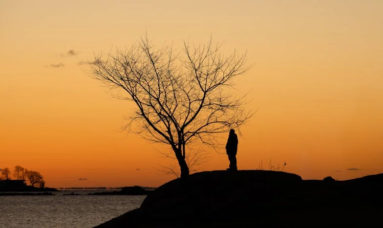 „Dlaczego potrzebujesz kolejnego mieszkania, skoro masz już cztery?” – Moja siostra próbowała wyrzucić mnie z domu, który dzielę z mamą. Oto moja historia o zdradzie, chciwości i walce o rodzinę.