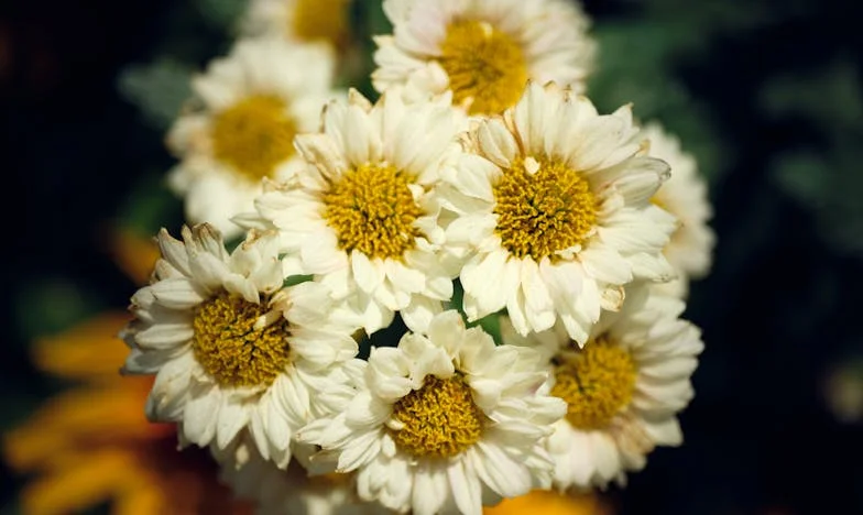 Gdy drzwi się zamykają: Opowieść teściowej, która przestała być potrzebna