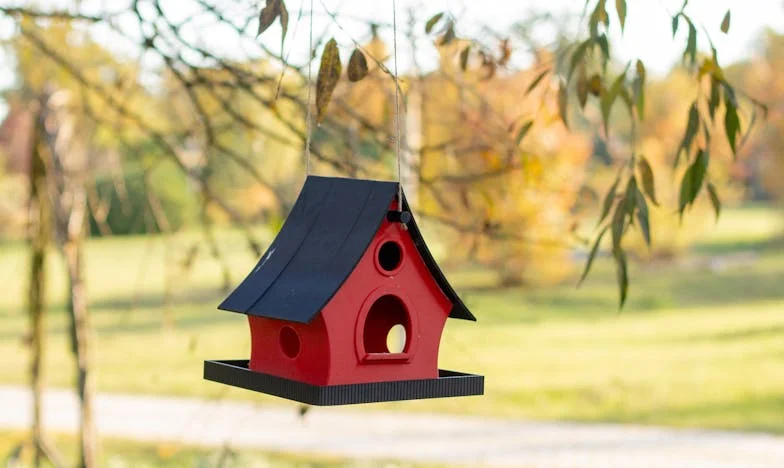 Gdy Rodzina Dzieli: Opowieść o Spadku, Miłości i Zdradzie