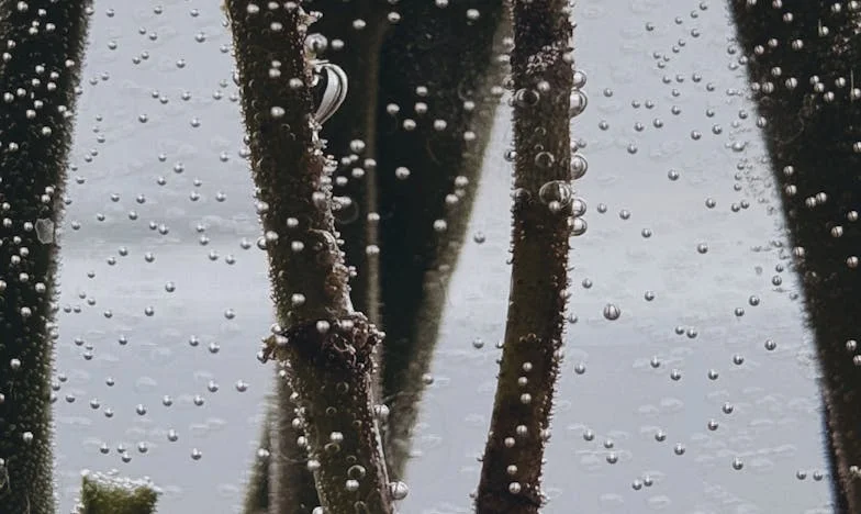 Kiedy matka staje się gościem: dlaczego nie otwieram już jej drzwi