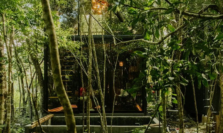 Kiedy miłość staje się rachunkiem: Opowieść matki między obowiązkiem a rozczarowaniem