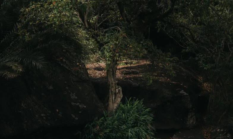 Między ciszą a prawdą: Moje życie po diagnozie – historia, której nie chciałam opowiedzieć