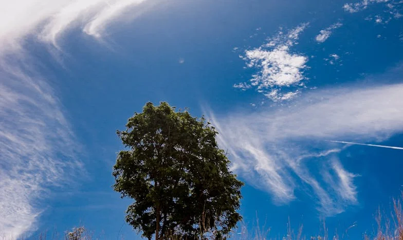 Między Dwiema Kuchniami: Mój Mąż, Jego Matka i Ja – Czy Jestem Wystarczająca?