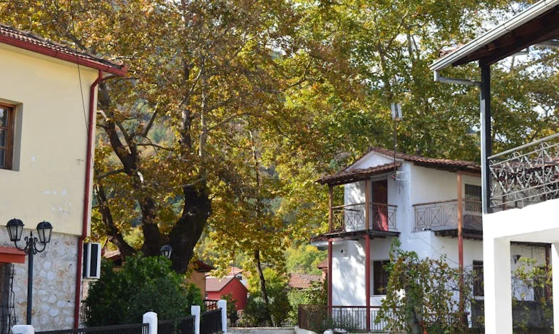 Między miłością a bezsilnością: Opowieść o opiece nad starzejącymi się rodzicami