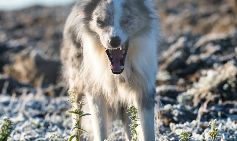 Między modlitwą a gniewem: Jak odnalazłam siłę, by wybaczyć teściowej
