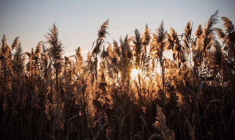 Mieszkanie na kredyt: Kiedy rodzinna pomoc ma swoją cenę