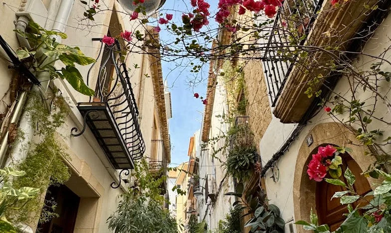 Miłość Matki, Wstyd Córki: Gorzka Tajemnica z Poznańskiej Kamienicy