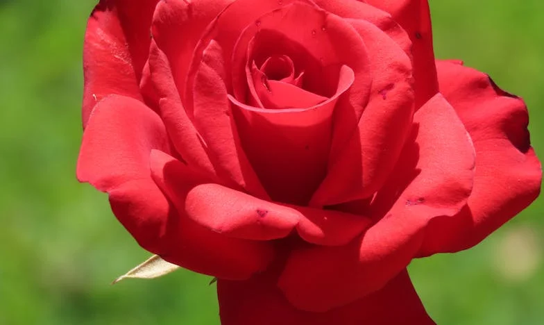 Modlitwa wśród burzy: Jak podejrzenia o zdradę i test na ojcostwo rozdarły moją rodzinę