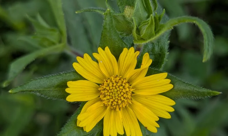Moja pasierbica wykluczyła mnie z własnego ślubu – czy naprawdę nigdy nie byłam częścią tej rodziny?