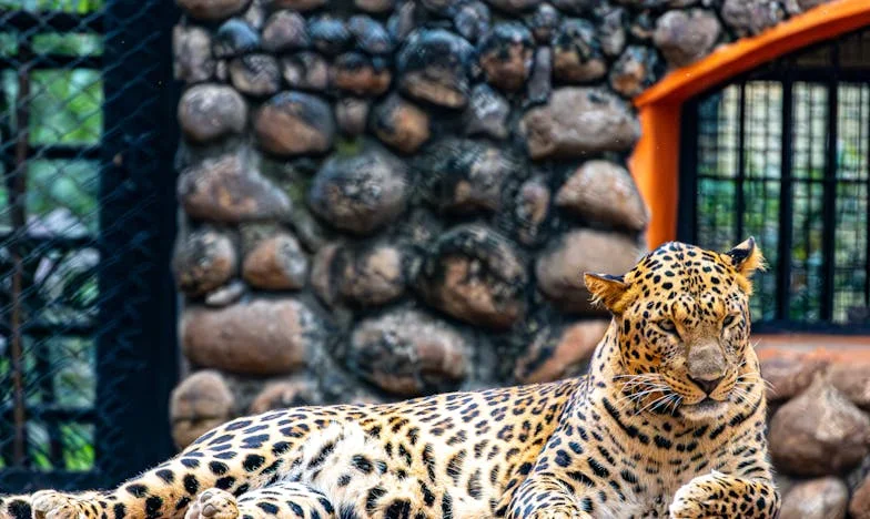 Nie Twój, ale Proszę, Zadbaj o Niego – Historia Kasi z Warszawy