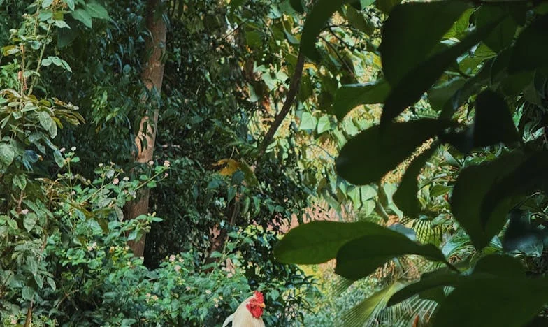 „Nie, twoja mama z nami nie zamieszka” — postawiłam ultimatum mężowi. Moja walka o własny dom i godność