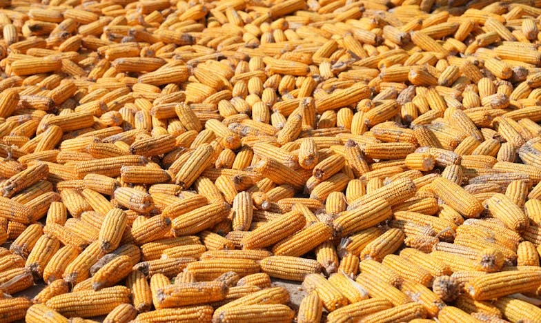 Niekończący się płacz z mieszkania 3B: Prawda, która nas na zawsze zmieniła