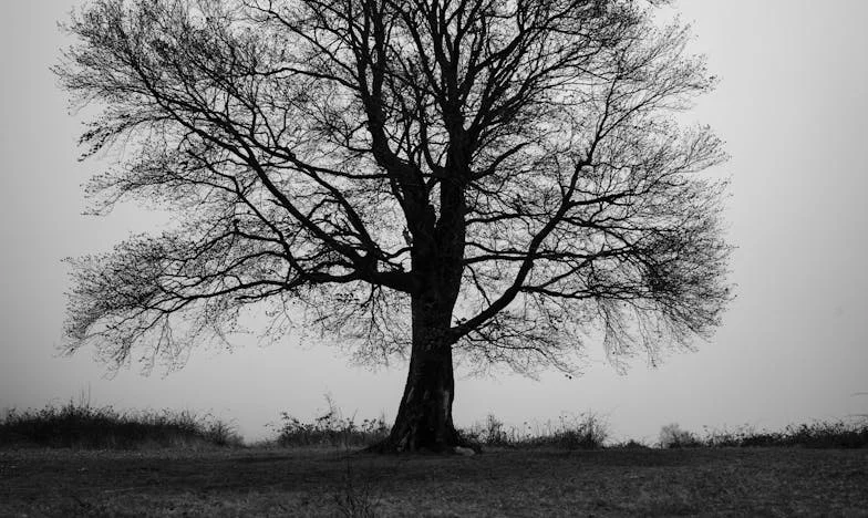 Noc, która zmieniła wszystko: Historia Anny i tajemniczego nieznajomego