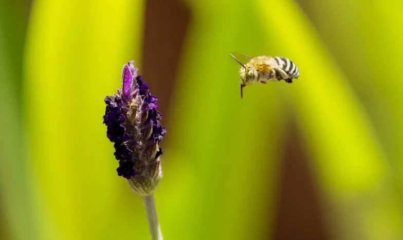 Obietnica, która rozpadła się w dniu mojego ślubu – historia o rodzinie, zdradzie i cenie marzeń