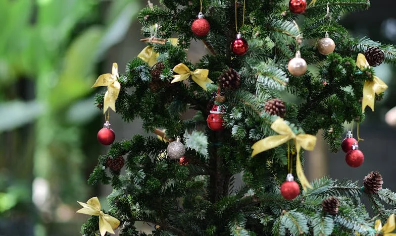 Ostatni promień słońca: Jak pożegnaliśmy naszą córeczkę wśród łez i nadziei