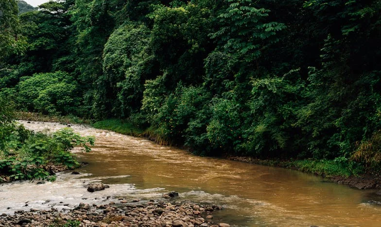 Portfel mojego męża i moja złota klatka: Moja walka o wolność w zimnym małżeństwie