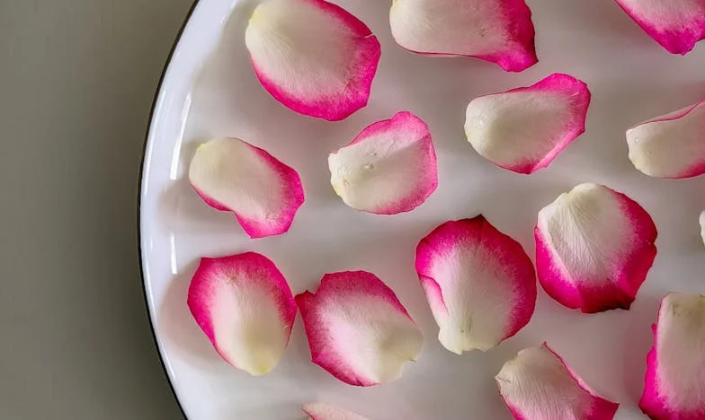 Porzucił nas dla młodszej – historia Zofii z Płocka