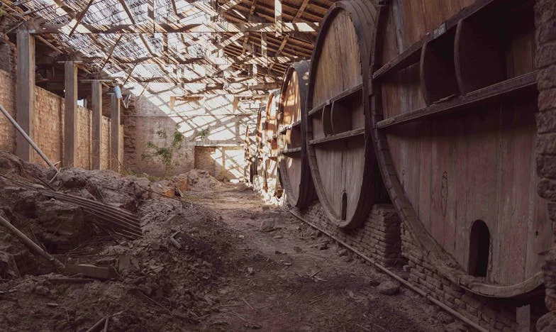 Prawo do pomyłki: Tajemnica ojca, która zmieniła wszystko