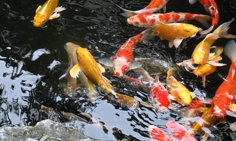 Samotność pod wspólnym dachem: Historia Magdy, która wróciła z noworodkiem do pustego domu