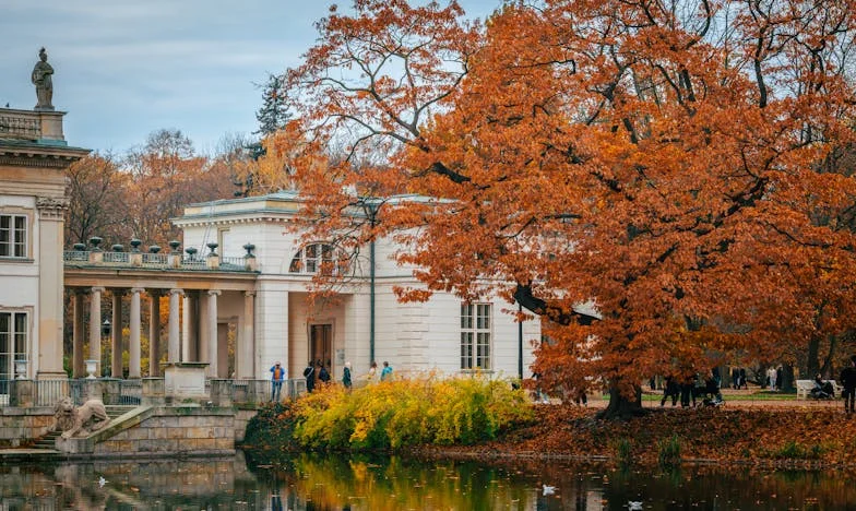 Sanjąc o szczęściu, znalazłam się w ruinie: Moja walka o dom i syna, którego nie umiem pocieszyć