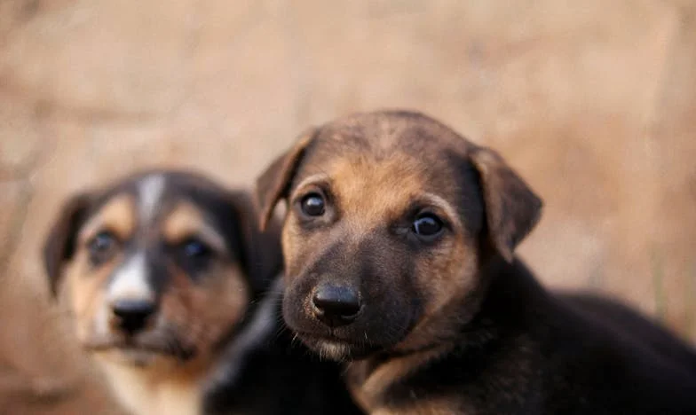 Straciłam syna przez konflikt z synową: czy można jeszcze naprawić to, co zostało zniszczone?