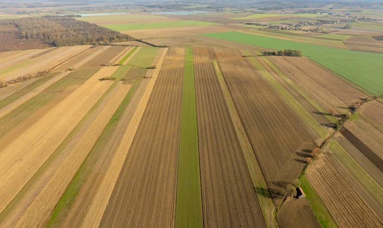 „Te majątki, my kredyt” – Moja walka o dom i rodzinę w cieniu bogatych teściów