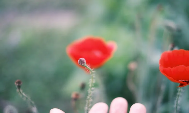 Telefon o północy, który zmienił wszystko: Tajemnica mojej córki i rozpad rodziny