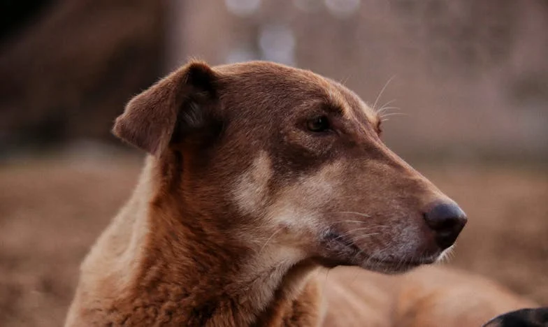 Urodziny, które wszystko zmieniły: Jak postawiłam się rodzinie męża i co z tego wynikło