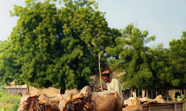 Zamknięta w czterech ścianach: Moje życie w cieniu rodziny męża