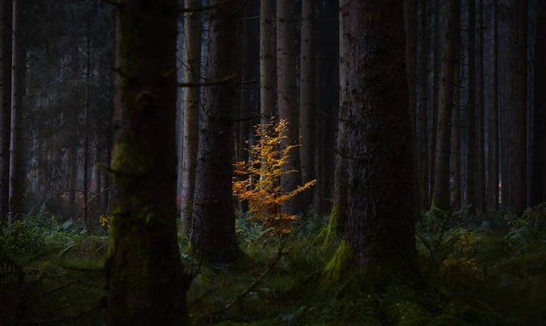 Zazdrość, bezczelność i narzucanie swojego zdania – zerwałam więzy z rodziną męża. Dziennik Wioli Kowalskiej
