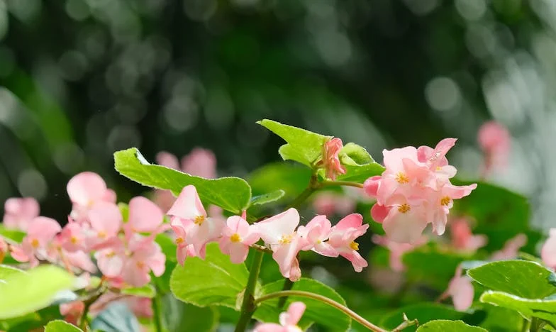 Długa droga do szczęścia: Historia Weroniki i Romana