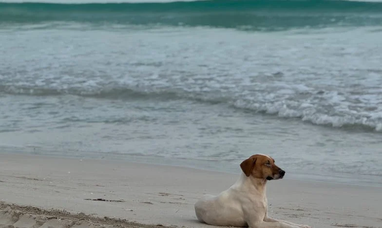 Dwa razy złamane serce: Jak mogłam zaufać własnej mamie?