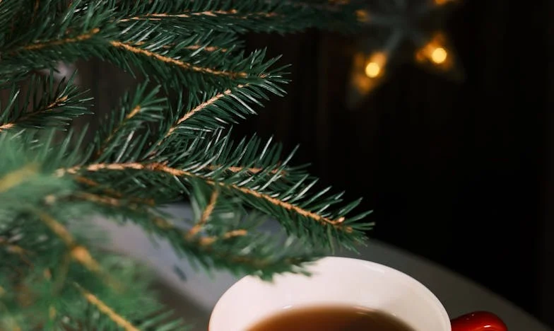 Gdyby nie twoja obecność… Historia Weroniki i Agnieszki