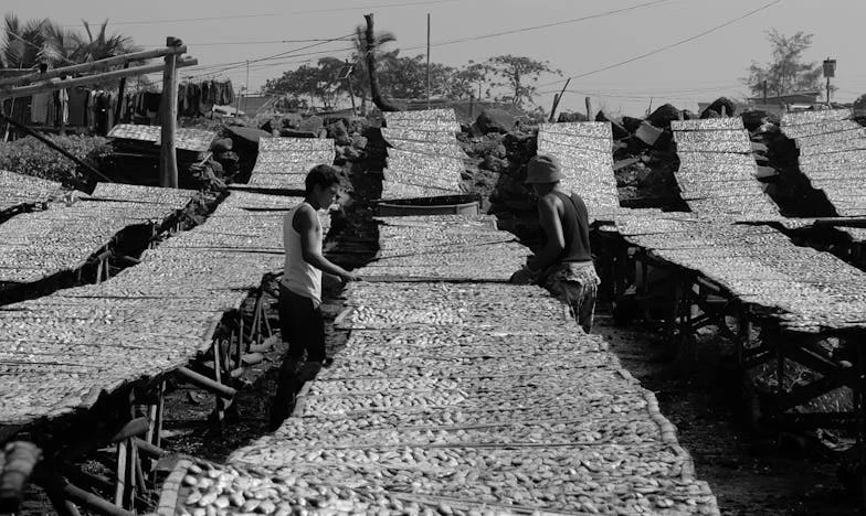 Gorzka propozycja teściowej: Kiedy zostałam sama z niemowlakiem – historia, która podzieliła moją rodzinę