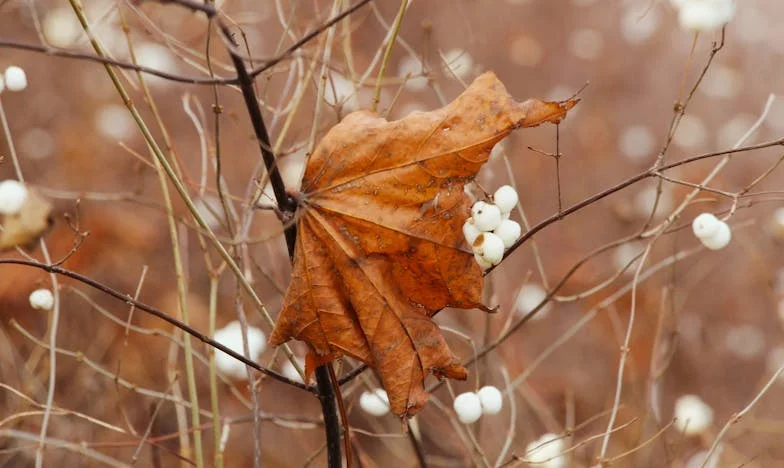 Kiedy dom przestaje być domem: Wyznanie polskiej matki, która straciła wszystko przez własną rodzinę