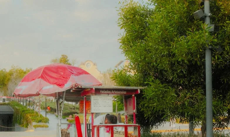 „Kiedy matka już nie jest potrzebna… Nie ma już kogo przeprosić”: Moja spowiedź nad grobem mamy