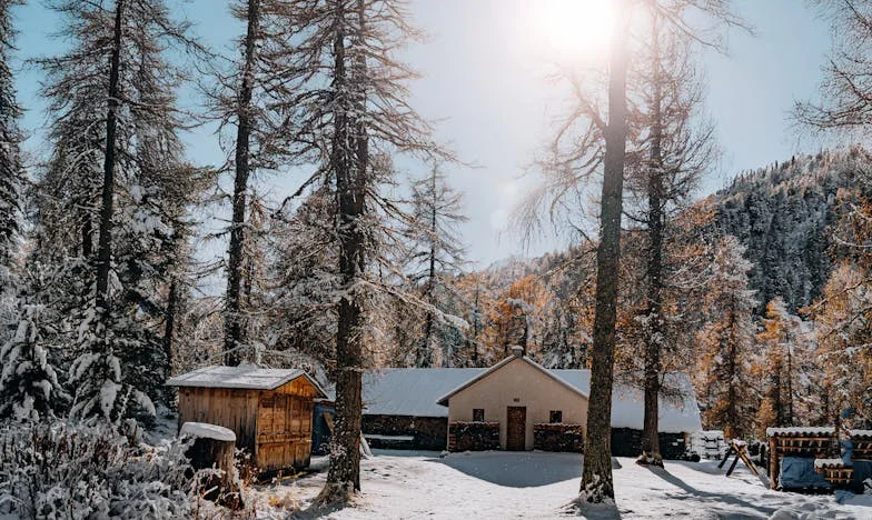 Kiedy mąż wybiera matkę zamiast mnie: Moja walka o rodzinę i wiarę