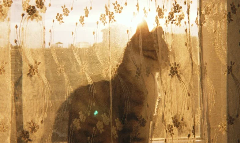 Kiedy własna krew wbija nóż w plecy: Historia o zaufaniu, zdradzie i przebaczeniu